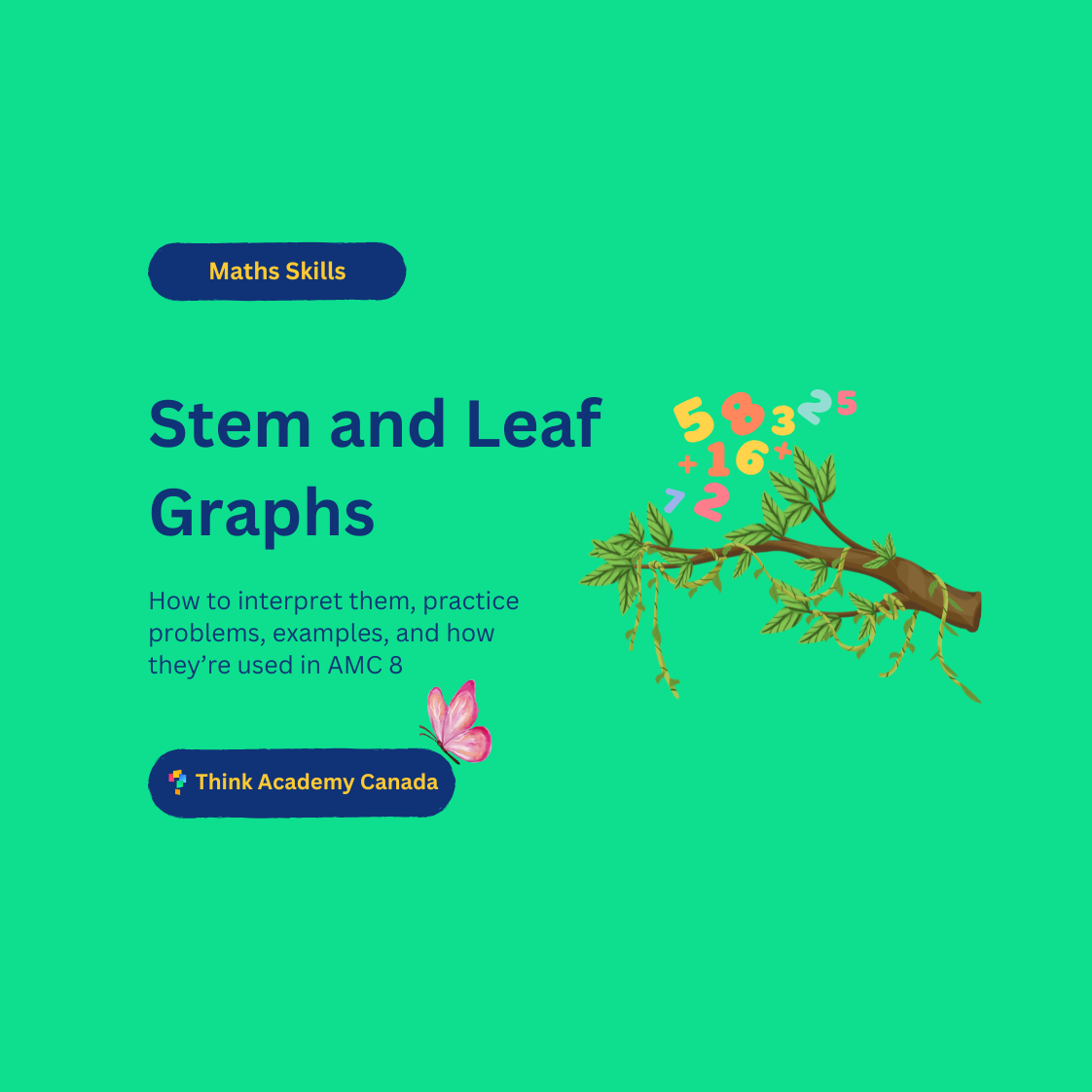 stem and leaf graph featured image