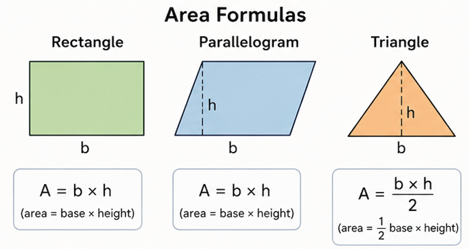 Area formulas for rectangle parallelogram and triangle Ontario Grade 5 math
